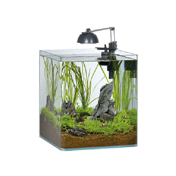 NANO SHRIMP 35