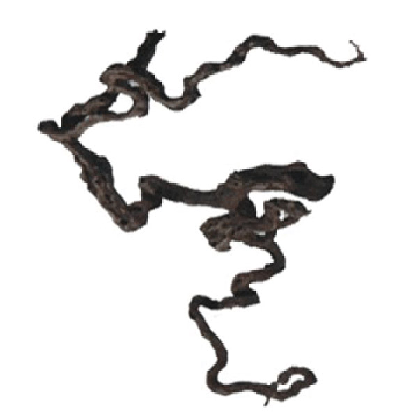 Aqua Deco Asma Dalı Ahşap Wine Wood 20-39cm S