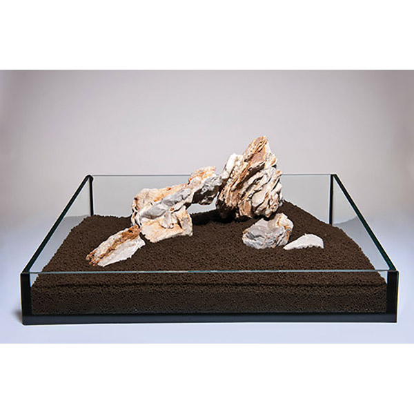 Aqua Deco Çöl Ayı