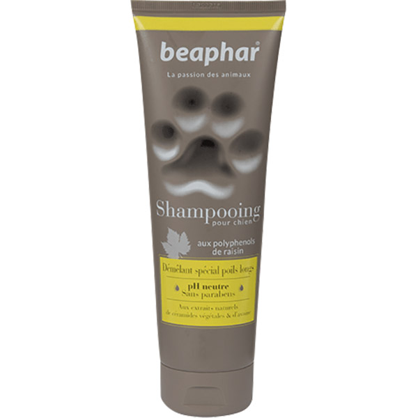 PREMIUM SAMPUAN 2IN1 LONGHAIR