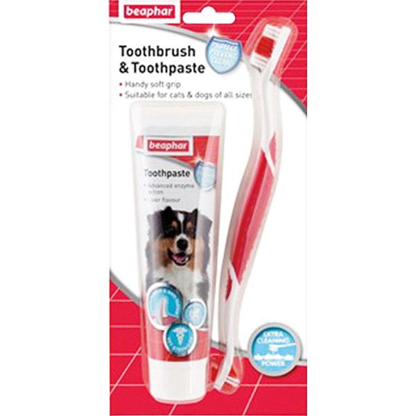 Diş Fırçası ve Diş Macunu Seti