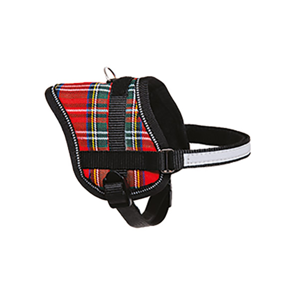 EENY M.GÖĞ.TASMA 36-46CM EKOSE