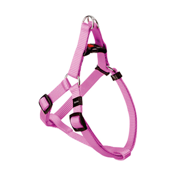 ASP ÜÇGEN GÖĞ.TAS.PEMBE20-35CM