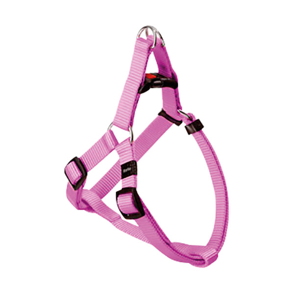 ASP ÜÇGEN GÖĞ.TAS.PEMBE35-60CM