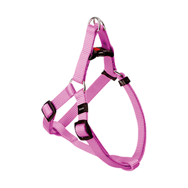 ASP ÜÇGEN GÖĞ.TAS.PEMBE40-70CM