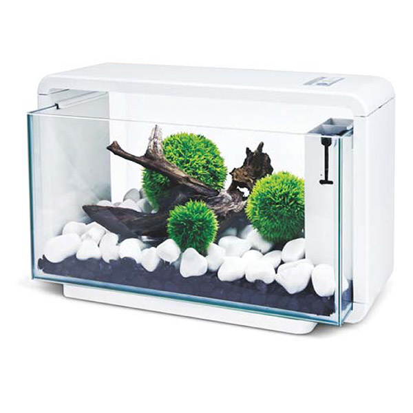 Mobilyasız Akvaryumlar